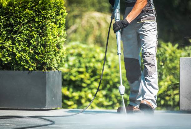 Best Soft Washing  in Walnut Creek, NC